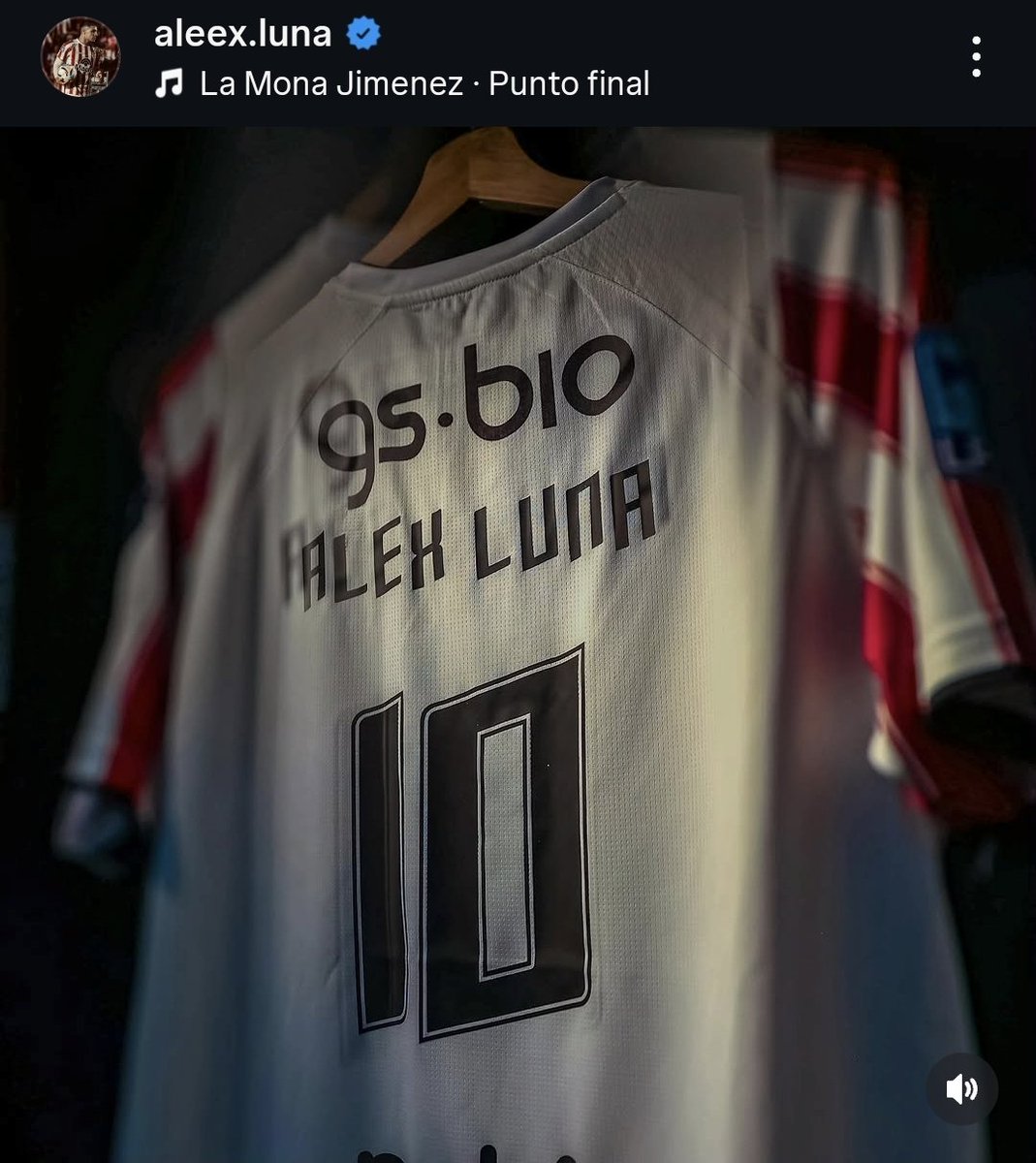 GloriosaLaposta's tweet photo. El dia que tú vuelvas, aquí me encontraras, yo no te dejo de amar.

Otra historia de amor para mi ya no habrá, yo no te dejo de amar.

Aunque te vallas hoy no habrá punto final.

Gracias por sentir está camiseta, te esperamos a la vuelta @alexluna1004 🇦🇹❤️ https://t.co/AR3vCyA18W
