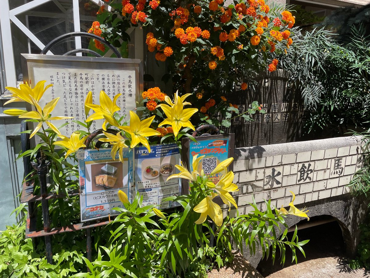 50nanami's tweet photo. 同じ港町なので雰囲気が神戸に似ている感じもある
赤レンガ倉庫までは予定してたけど、すぐ近くのカップヌードル博物館とかその目の前にあるコスモワールドの🎡乗ったりとか流れるように観光が楽しめるのすごい…！ https://t.co/TDPBS7v7CN