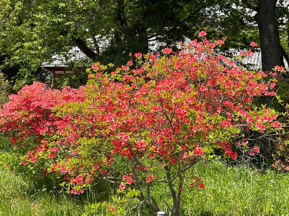 映画監督 東真司 Shinji Azuma (柴谷英樹) ANKH tweet media