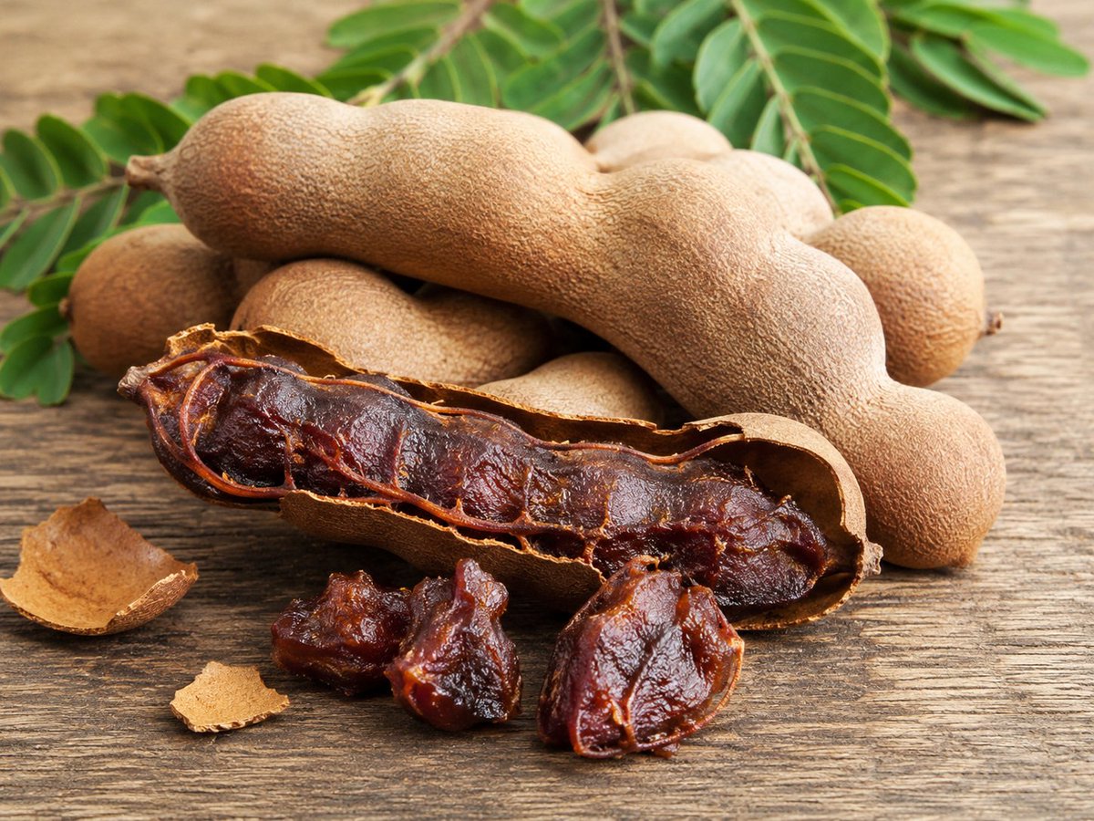 dharmendra35222's tweet photo. Tamarind
It is rich in carbohydrates.
It has many benefits for our body.
🌿It digests properly
🌿Controls weight
🌿Immunity booster 
🌿Good for skin and hair
🌿Controls blood sugar
#Ayurved #Tamarind #Health
👉For more Follow me 👈 https://t.co/vD522lhVrX