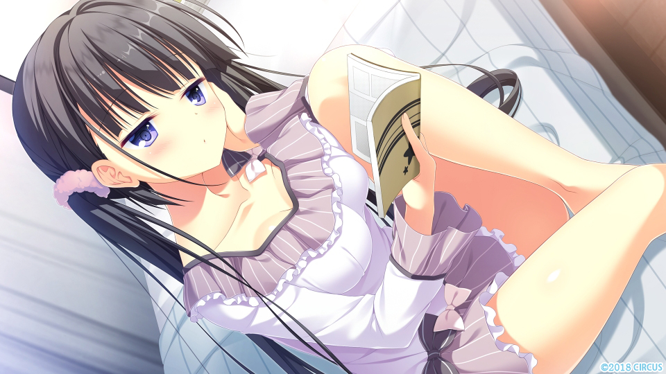 trader_R18's tweet photo. 【誕生日】

本日6/2は、CIRCUS様より
#DC4
常坂二乃ちゃんの誕生日です！　おめでとう～！
表モードも裏モードもかわいい妹(しかもこあくま)なんて最高ですよね？
トレーダーでは人気シリーズDC4を好評取扱中！

#常坂二乃生誕祭2026 https://t.co/JTML6c4Jh9