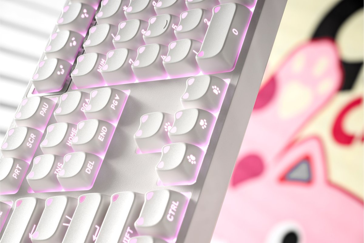 xvx_keyboard's tweet photo. Play with cats.🐱🤍

A clean white design that blends effortlessly into any desk setup — adding just the right touch of cuteness to brighten your space.

Keycap: XVX Lumiucat
Grab yours now. Link in bio
https://t.co/OCY1fozDyk
#xvx #keycap #xvxkeyboard #desksetup https://t.co/CcMsVrfX5Z