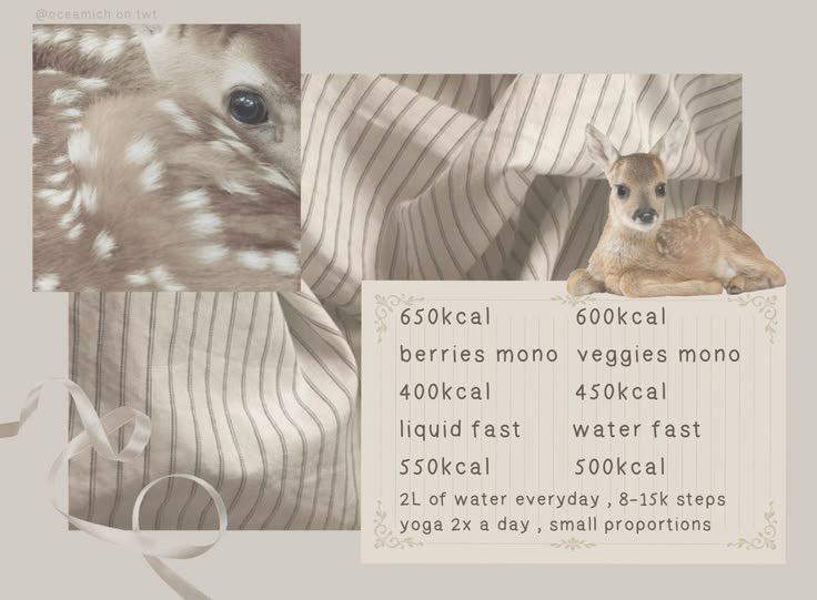 🦢 tweet media
