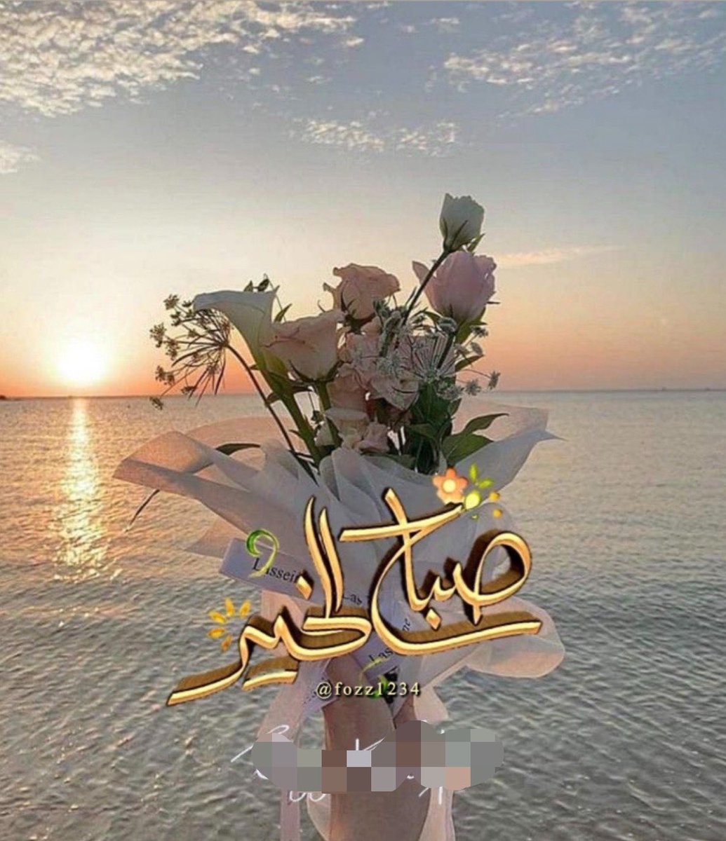 ♥️🕊الاميره قلبي🕊♥️ tweet media