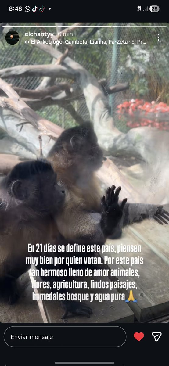 KhalifaXiil's tweet photo. Chanty es de los buenos 🫡 https://t.co/GeKtAJbA3i