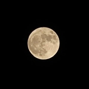 seirisk's tweet photo. ５月31日は、5月2度目の満月、ブルームーンでした。今年最小の満月で、マイクロムーンとも。
五重塔の相輪と一緒に

#満月
#ブルームーン
#マイクロムーン https://t.co/Sha0YEGqT2