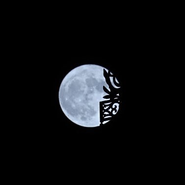 seirisk's tweet photo. ５月31日は、5月2度目の満月、ブルームーンでした。今年最小の満月で、マイクロムーンとも。
五重塔の相輪と一緒に

#満月
#ブルームーン
#マイクロムーン https://t.co/Sha0YEGqT2