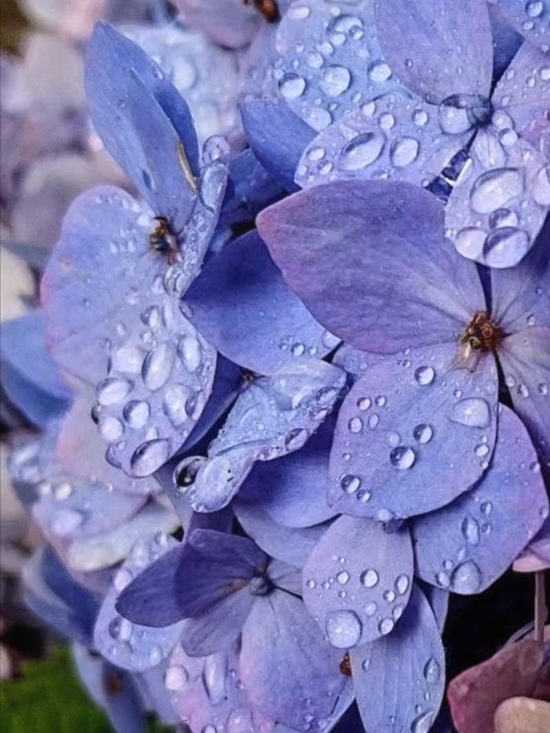 MajdiHashim2's tweet photo. Morning https://t.co/DJPlmzn49p