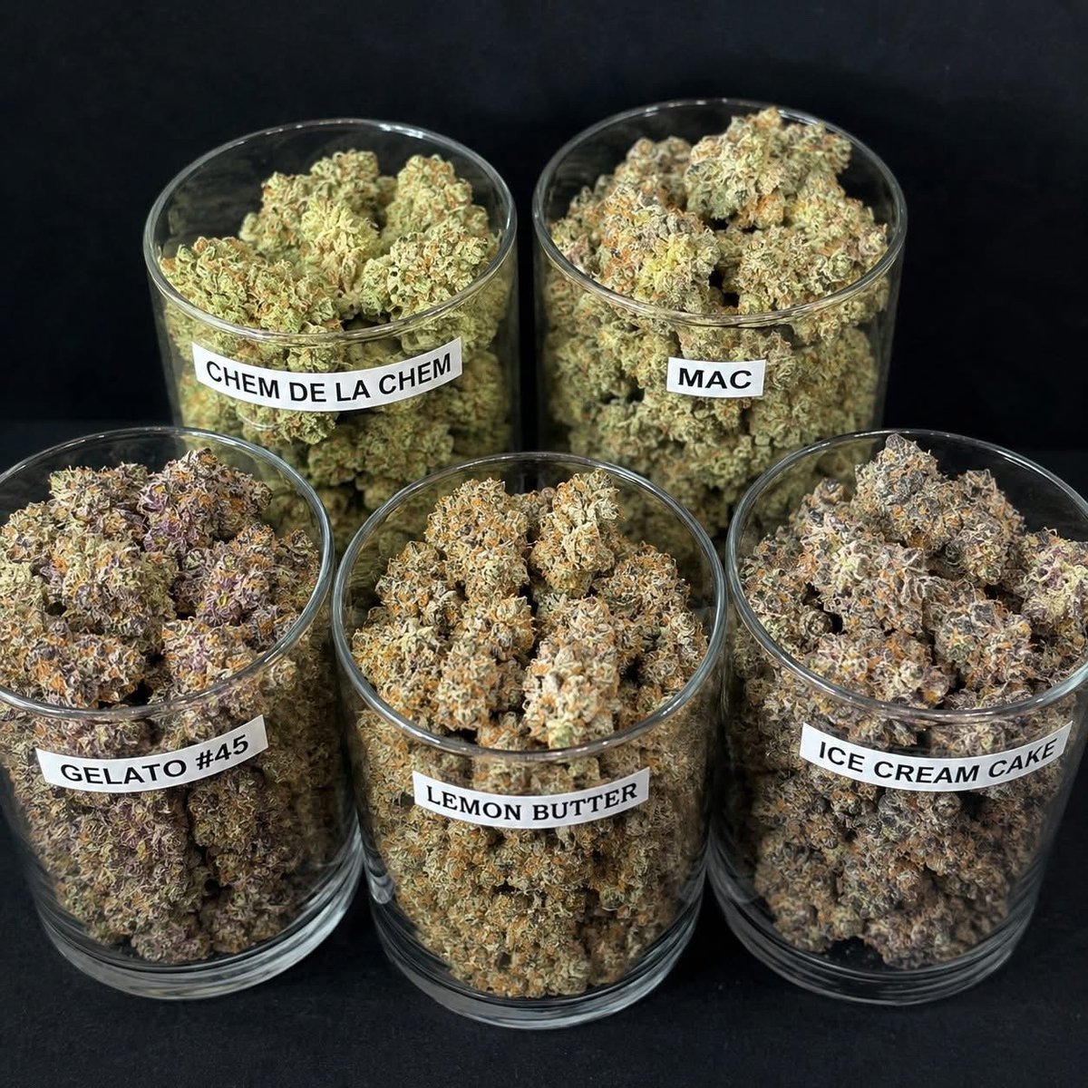 STONERS R US 🍃 tweet media
