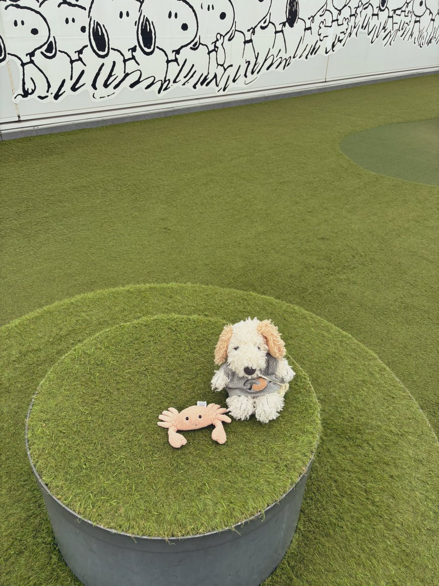 miiiipap's tweet photo. 故郷に🐶🦀🍼
#ふわふわのカニ #アンディ https://t.co/3vEb0U6xMF