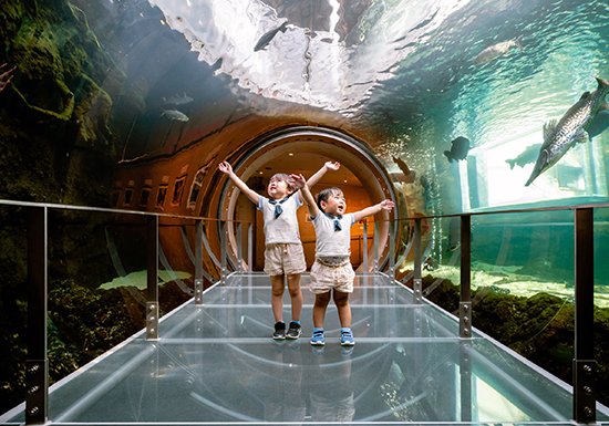 pref_tochigi's tweet photo. ／
#なかがわ水遊園
県民の日限定 入館料無料🐟🎶
＼

#栃木県民の日 に合わせて、おもしろ魚館展示ゾーン(水族館)の入館料が無料に🙌！
ぜひ遊びにきてくださいね🥳
◆開催日：6/13(土)～15(月)
https://t.co/wAwvdNp8do

#栃木県 #栃木県情報 https://t.co/QNopRfuzo7