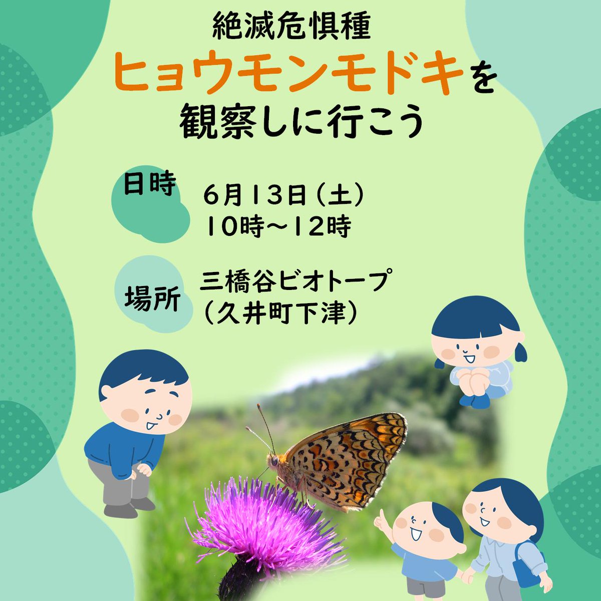 miharacity2005's tweet photo. 🦋希少なチョウ「ヒョウモンモドキ」の観察会🦋

「ヒョウモンモドキ」は絶滅危惧種に認定されています。
国内で三原市と世羅町にしか生息しない希少なチョウを観察しに来てください！
✅日時：６月13日（土曜日）10時～12時
✅場所：三橋谷ビオトープ（久井町下津）
https://t.co/LwTzolXWzS https://t.co/FdftRuLjFd