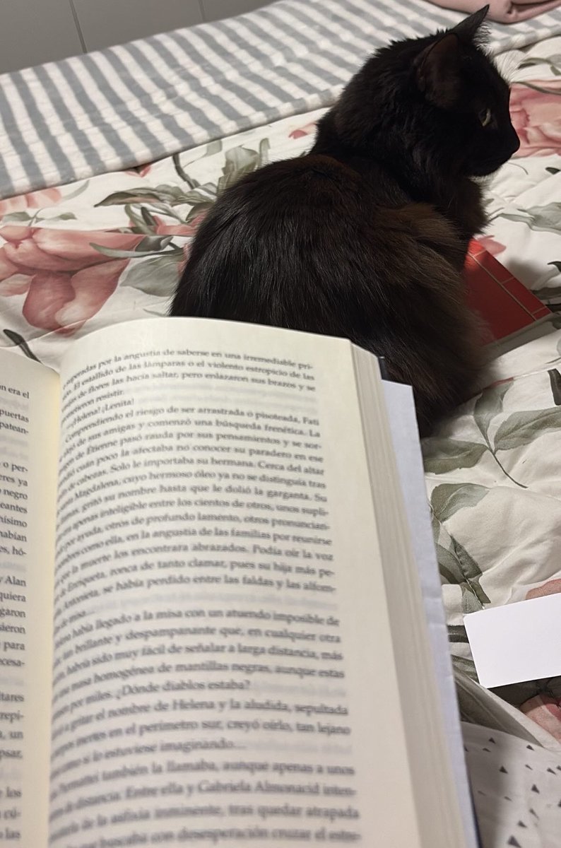 𝐶𝑎𝑡𝑎 🐱 tweet media