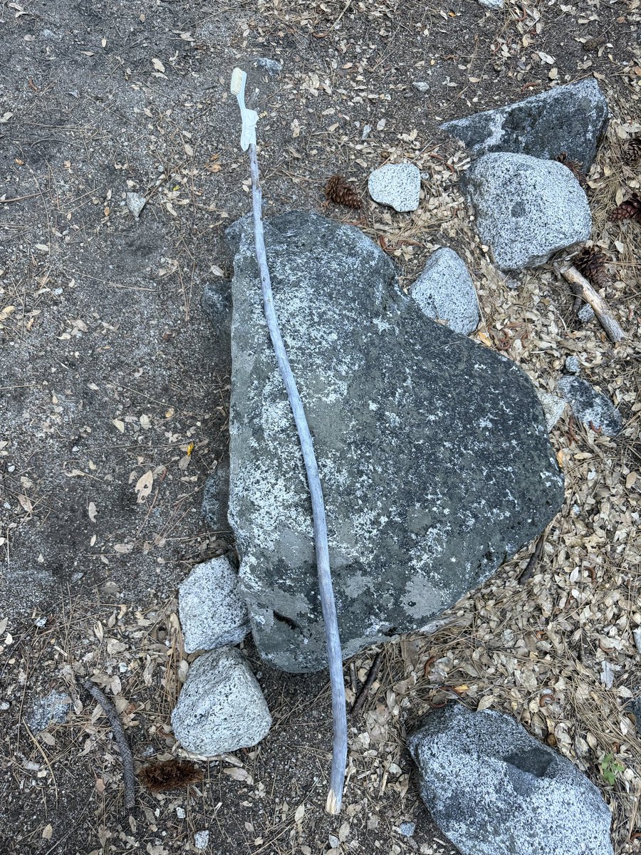 mic_u's tweet photo. 3週間くらい前に作ったこの特製ブラシが気に入りすぎて、このまま日本持って帰ろうか迷うレベル https://t.co/bJxexi4866