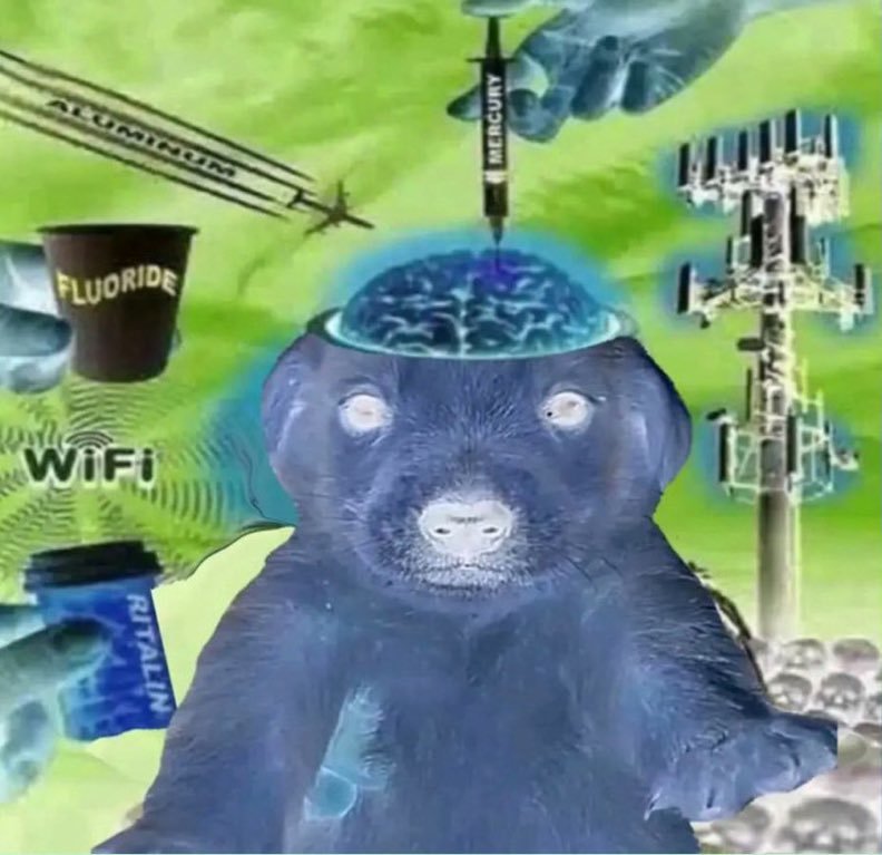 anigzzz's tweet photo. estoy entre mí peor y mí mejor momento https://t.co/QxMgy3Hqqu