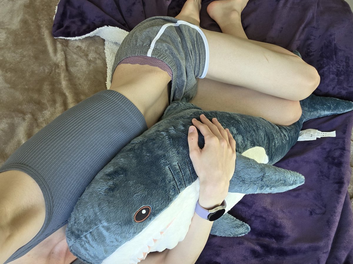 SissyMaddy69's tweet photo. I love my new blahaj :3 https://t.co/lQPQVJRJmv
