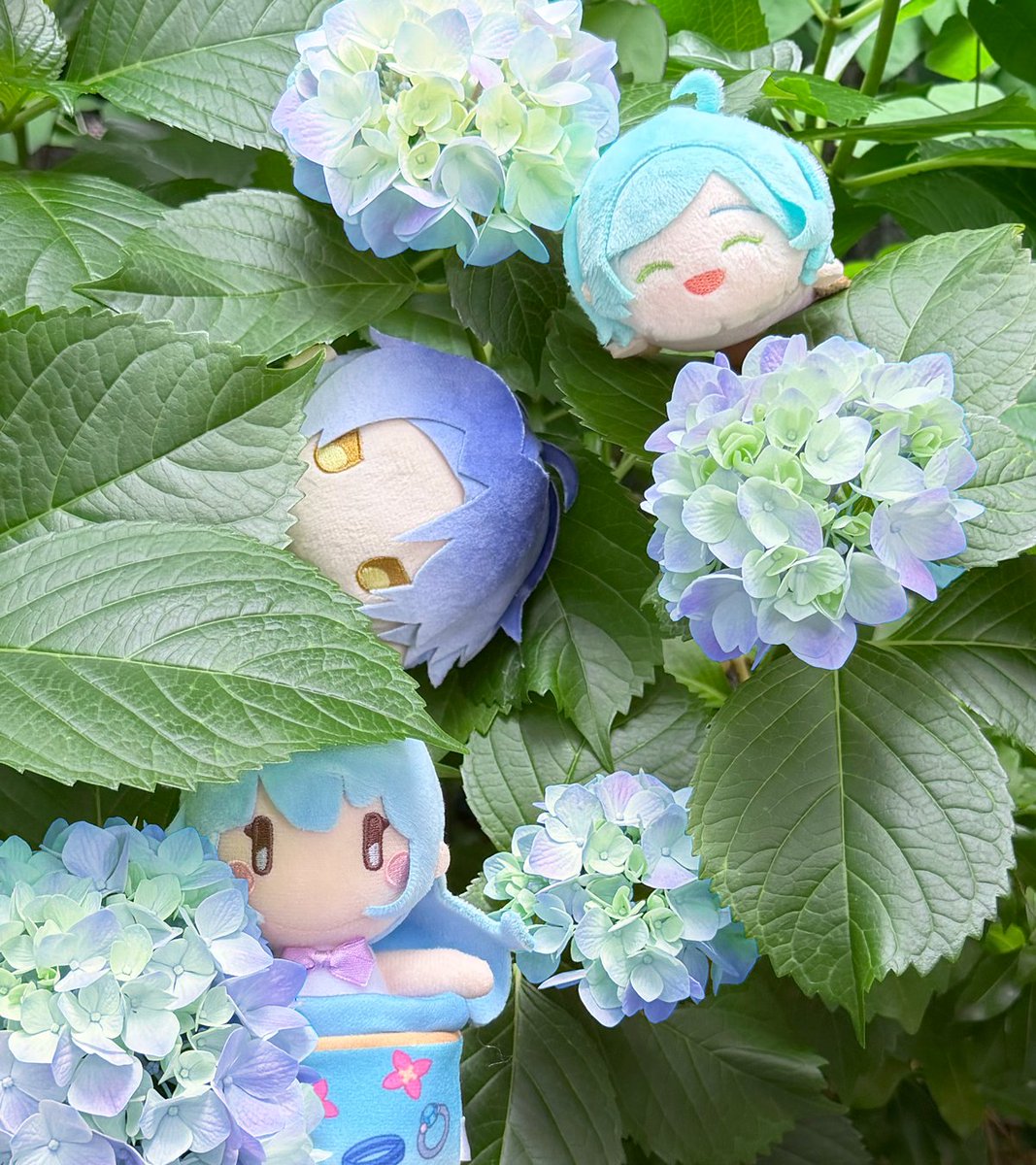 Happy Elements公式🍀 tweet media