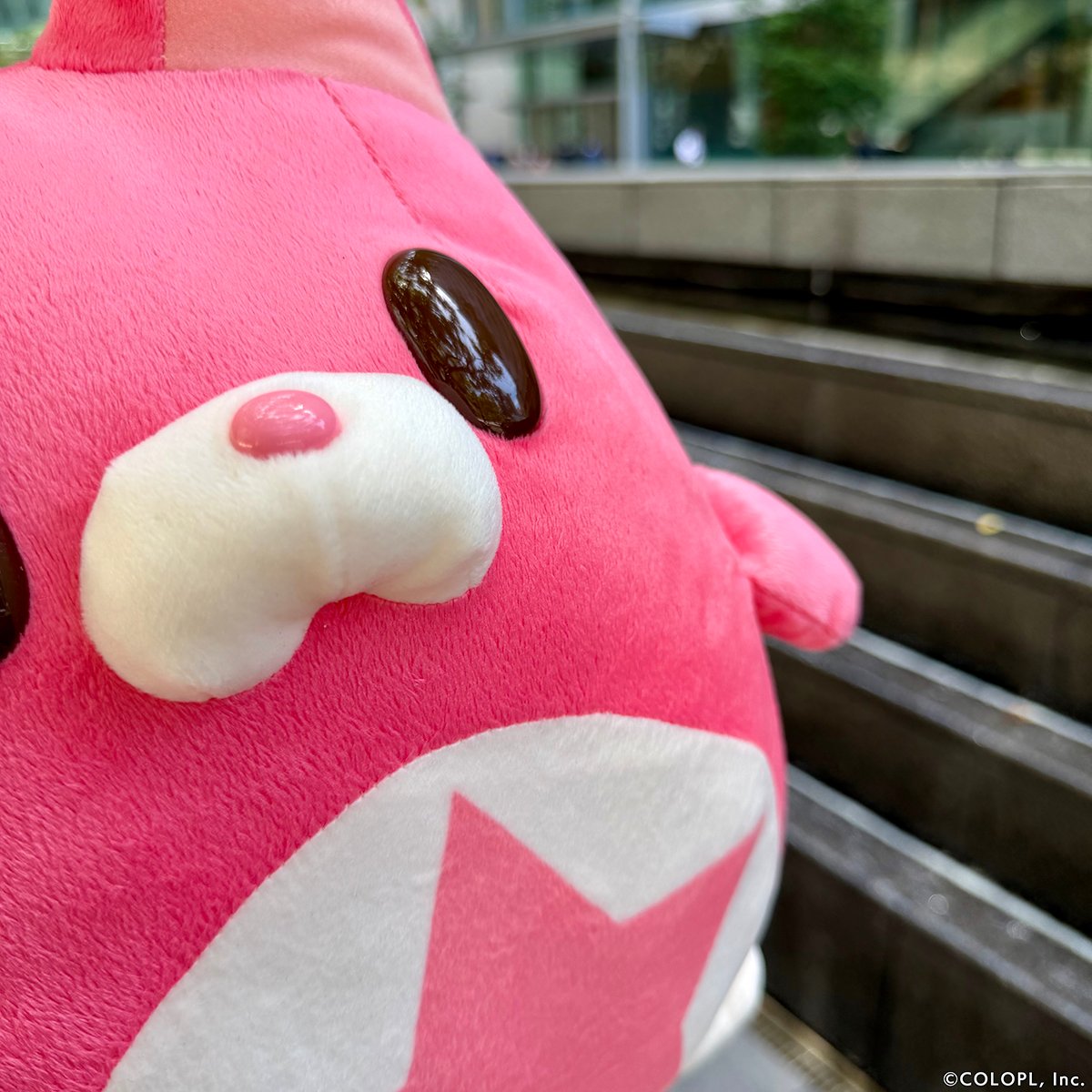 白猫プロジェクト