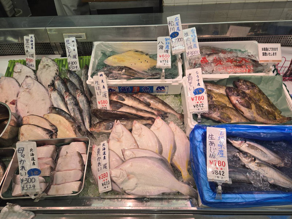kitami_matsuura's tweet photo. おはようございます。
本日の鮮魚売り場の様子です。

今日のおすすめは北海道産ハタハタとムキガレイとなっています。
ハタハタは塩焼きや煮付け、フライにすると美味しいですね😊 https://t.co/6ktgtqGbaz