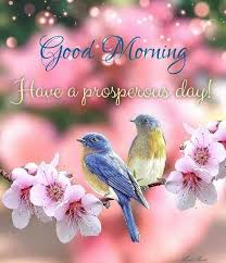 vipprogrammer_'s tweet photo. Good morning, friends! Wish you full of joy daily,We provide one-stop phone repair tools, auto IC and programmers. Feel free to contact me anytime.

#phonerepairtool #carchip #carprogrammer #ecufixtool #phonefixtool #motherboardrepair https://t.co/uDl32ccYCU