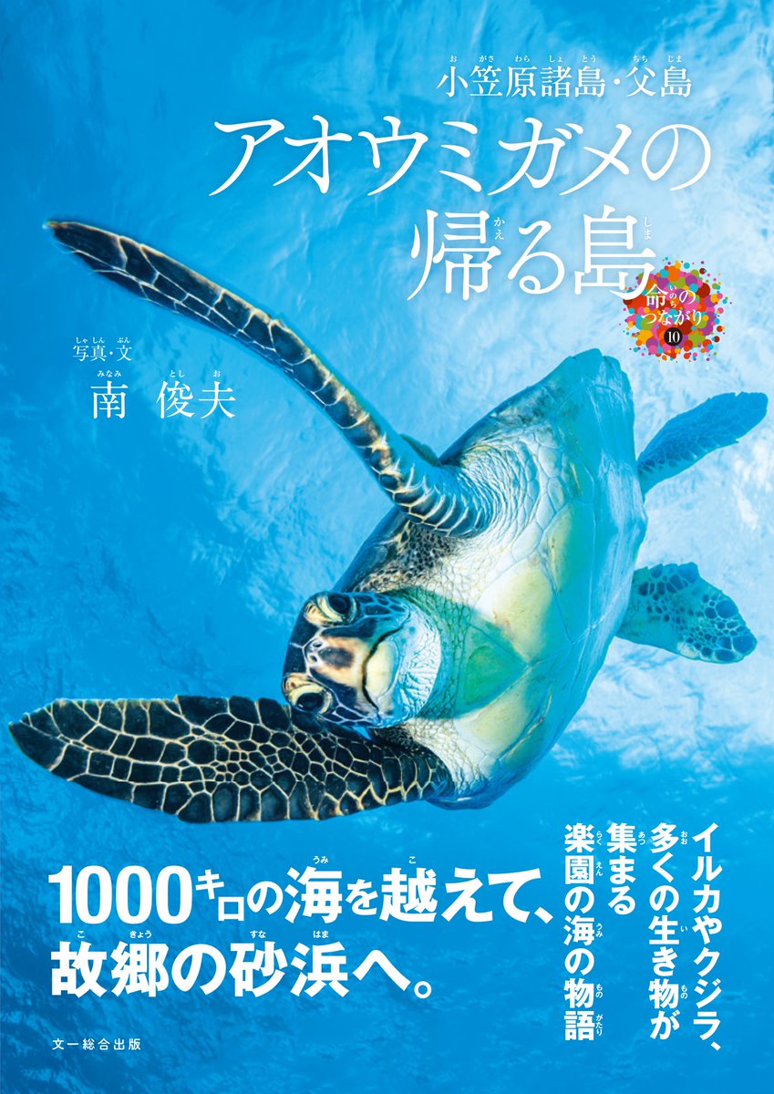ocean__a's tweet photo. 小笠原で28年、アオウミガメを撮り続けたダイビングガイド・南俊夫さんが、写真絵本『アオウミガメの帰る島』を6/1刊行🐢

40年かけて故郷へ戻るアオウミガメの一生を、小笠原の海とともに描いた一冊。

ダイバーにもぜひ読んでほしい作品です。

👇記事はこちら
https://t.co/FzyLbP8Awd https://t.co/BoeBFm8UpJ