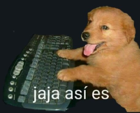 morritodeplaya's tweet photo. jaja pos al chile que bueno https://t.co/v6T92Le0gs