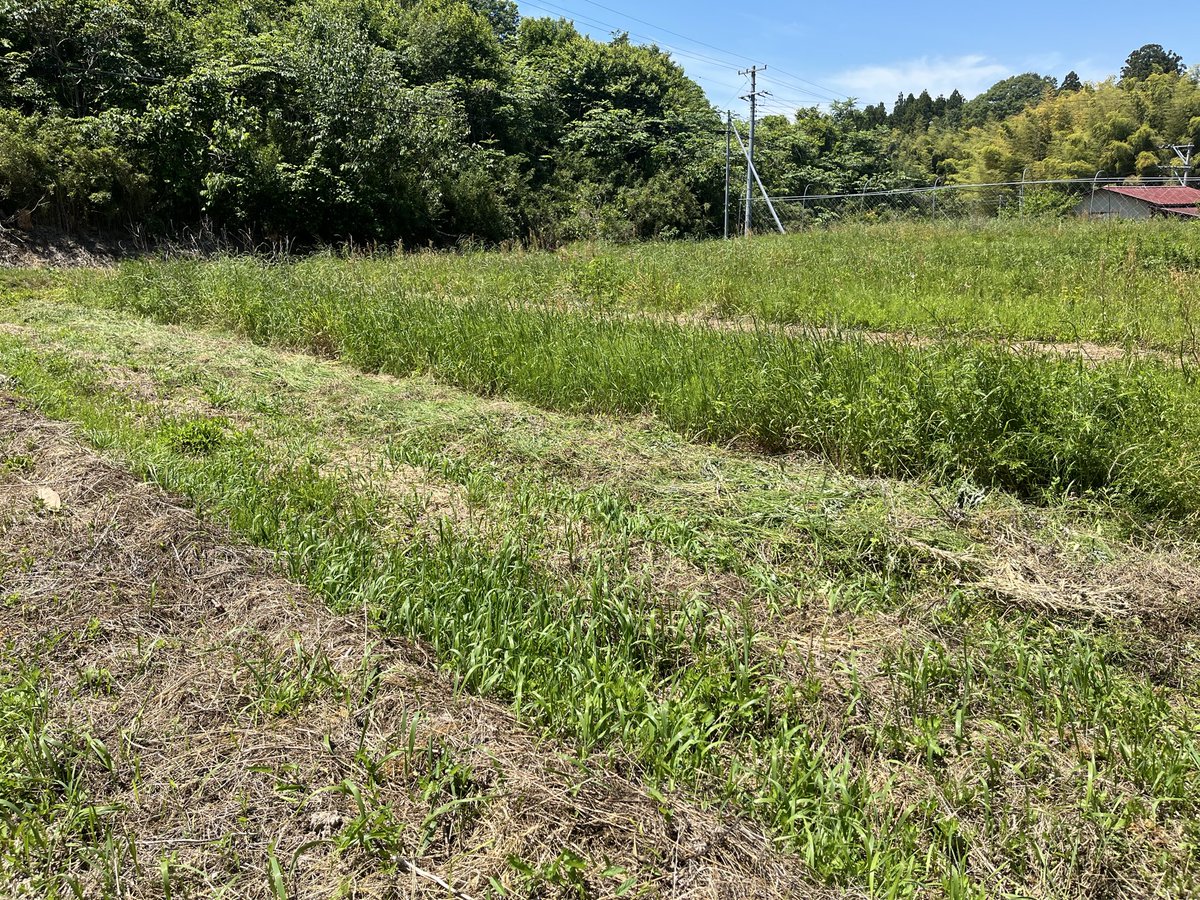 hipcrops's tweet photo. ノリノリで野良仕事やってます、今のところは。 https://t.co/lm0gYCtAfW