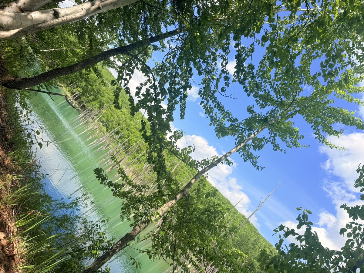 rito_aaaa's tweet photo. 美瑛！青い湖行ってきた https://t.co/FW1DglplH8