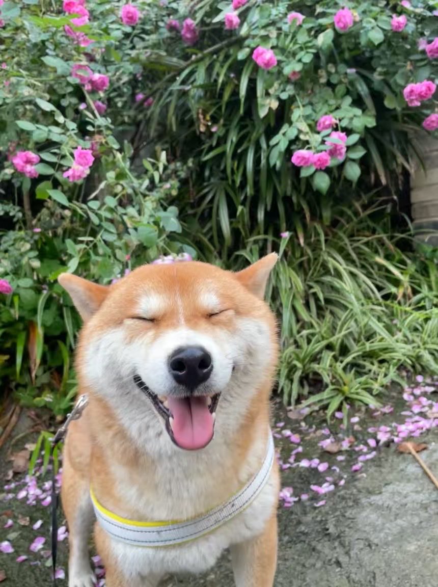 Ritabzzq's tweet photo. bright smile https://t.co/x08cV2G7c7