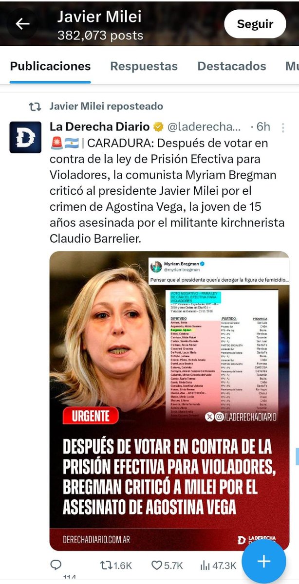 Myriam Bregman tweet media