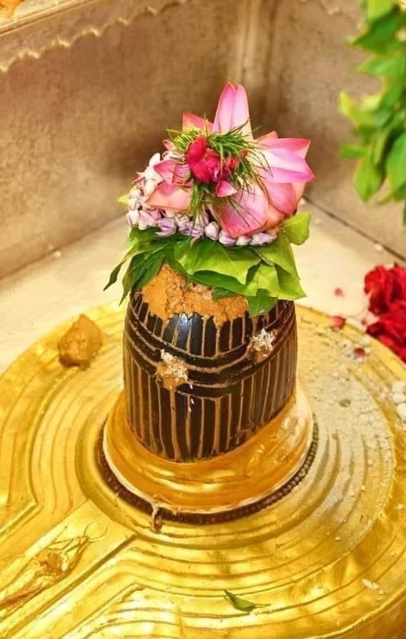 sarita25148177's tweet photo. विश्वनाथ मम नाथ पुरारी ।
त्रिभुवन महिमा विदित तुम्हारी ।।
ॐ नमः शिवाय हर हर महादेव 🙏🏻🌿💐🪔
जय बाबा श्री काशी विश्वनाथ जी महाराज🙏🏻 https://t.co/FlDLmLhwTa