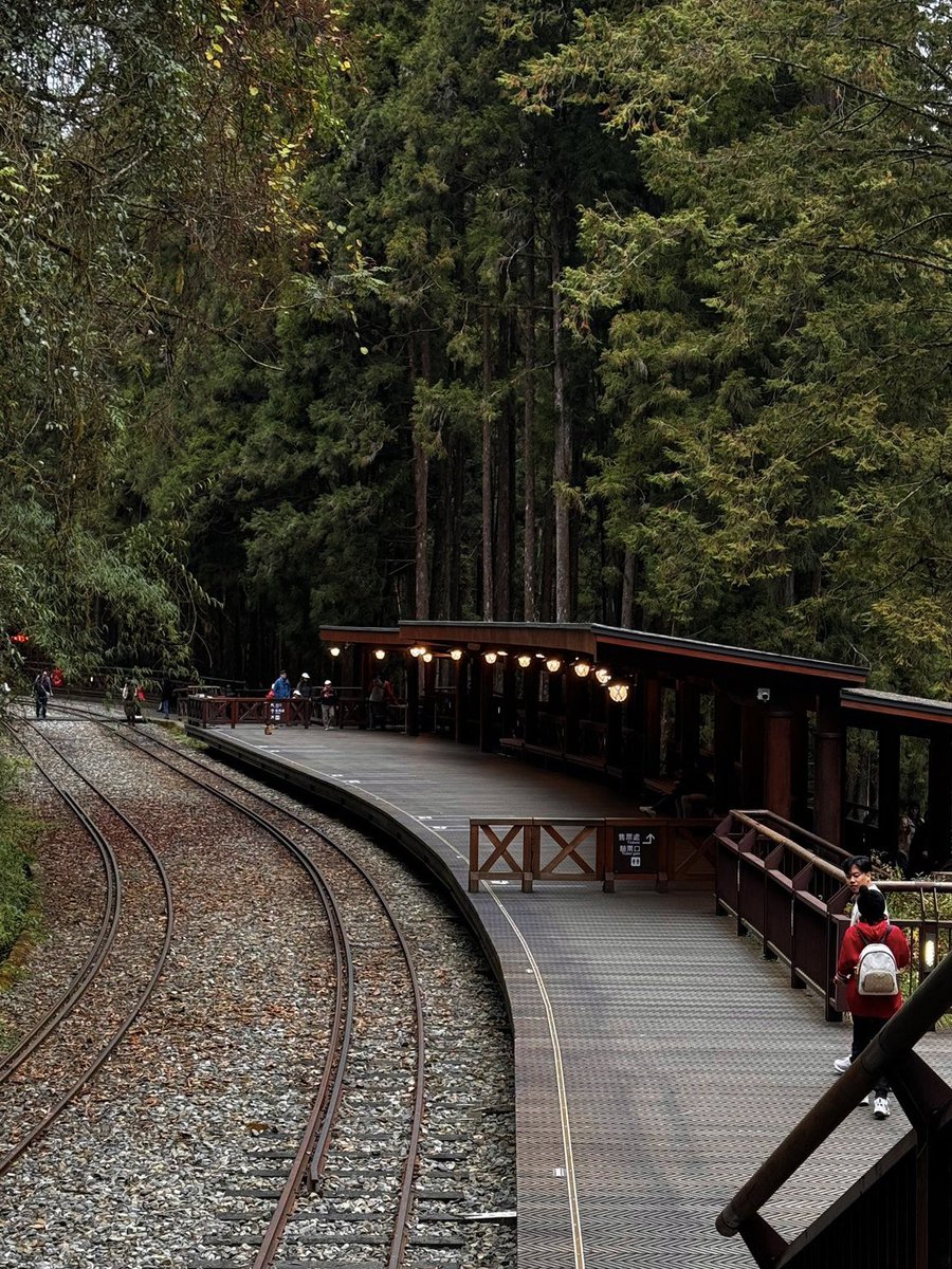 yoxrgravity's tweet photo. ยืนยันอีกเสียง Alishan สวยเหมือนอยู่ในหนัง ยิ่งตอนนั่งรถไฟยิ่งสวยยยยย 🚂 https://t.co/l1kCCQhtUW
