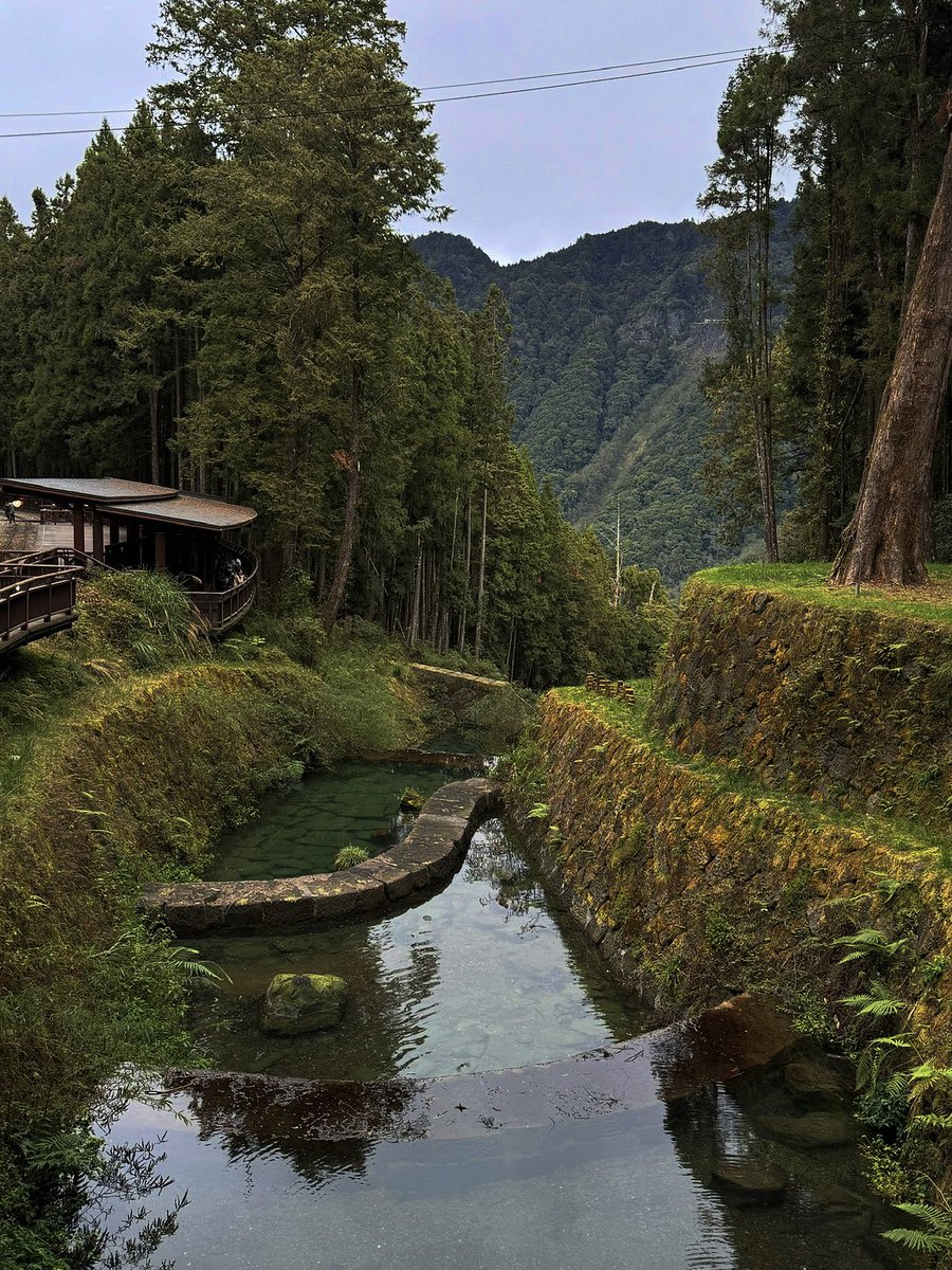yoxrgravity's tweet photo. ยืนยันอีกเสียง Alishan สวยเหมือนอยู่ในหนัง ยิ่งตอนนั่งรถไฟยิ่งสวยยยยย 🚂 https://t.co/l1kCCQhtUW