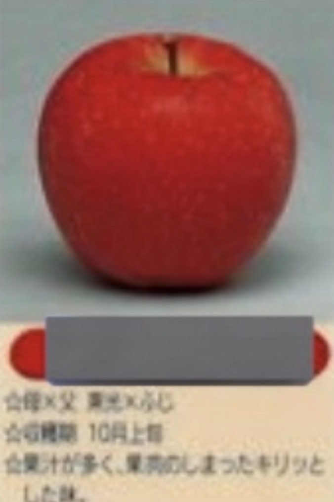 bozu_108's tweet photo. 青森県の「暗黙のルール」選手権

入賞
これのりんごの名前が全部言える https://t.co/w9ZfNhoDNa