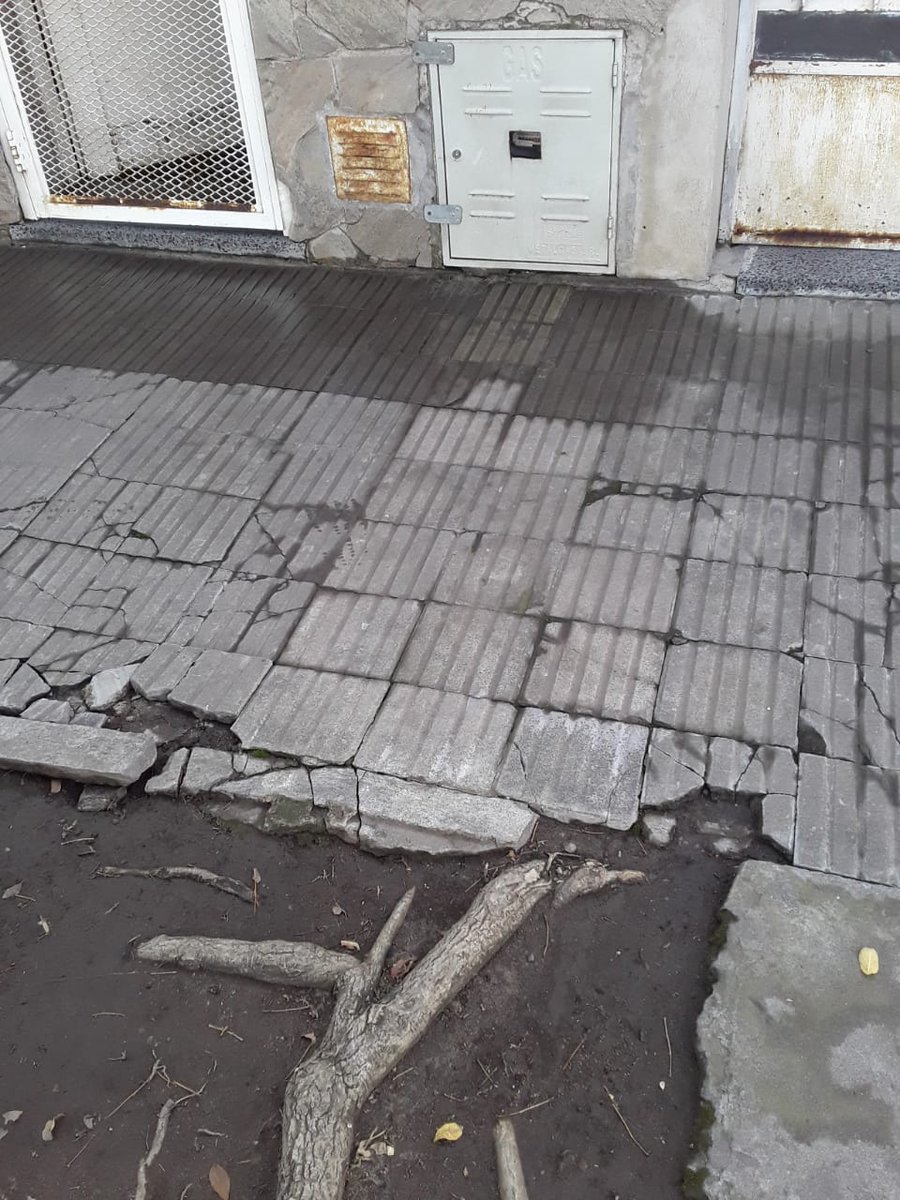ki33ti's tweet photo. @CalleDeRosario La raiz del árbol rompe las baldosas y ya llegó al nicho del gas. Parques y paseos no responde a nuestro reclamos, que son muchas, para que nos solucionen este grave problema. Rueda 5320. Cansada de reclamar y no hacen nada. https://t.co/jTP6OTw27F