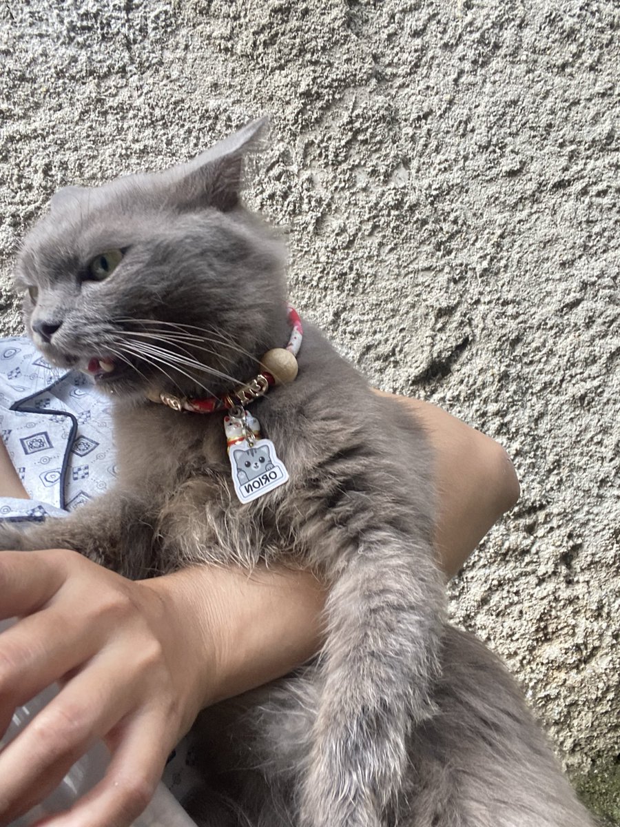 goodaycooling's tweet photo. Anak ku gasuka kalo lg main di jemput plg☺️ https://t.co/WeqvJY0pdR