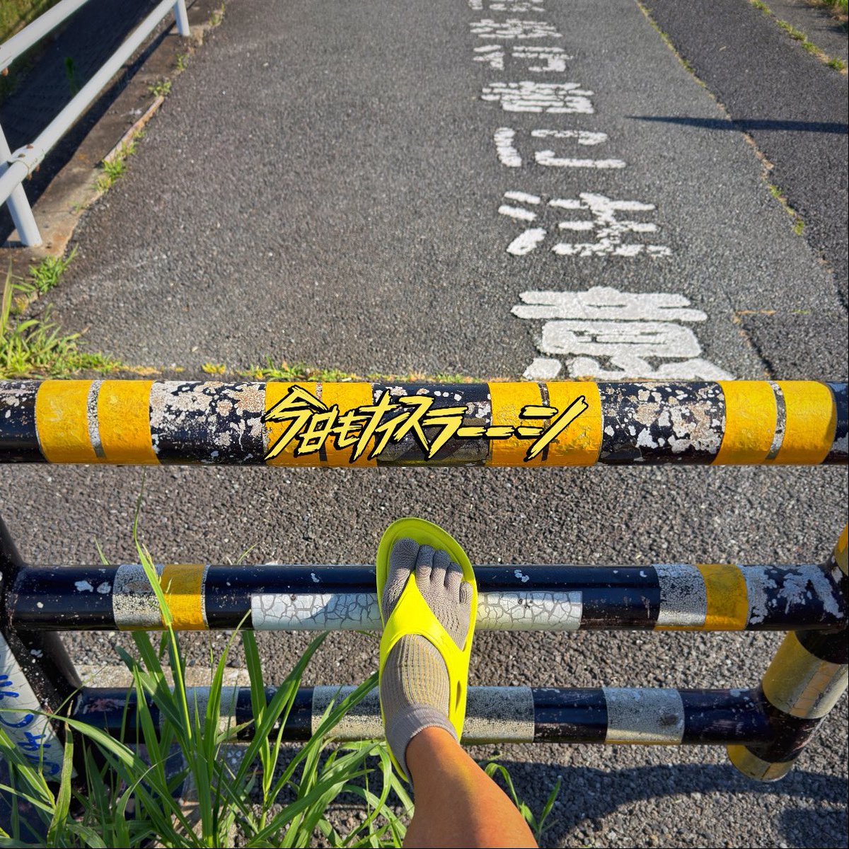 twitoto's tweet photo. おっはよーラン❗️
6/1のあさそら☀️

快晴で気持ちのいい青空に
メラレウカ・スノーインサマー
（という名前らしい）

川岸にはカワセミ、見れて良かった😊

良き一日を😌

好きを楽しむ
Enjoy what you like💓

#ライブラン #runtrip #サブキャス
#ランニング #台湾サンダル https://t.co/Uu050sAh1E