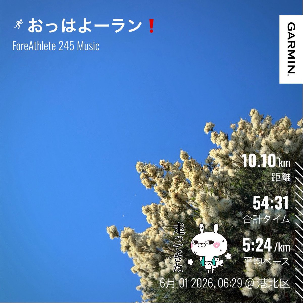 twitoto's tweet photo. おっはよーラン❗️
6/1のあさそら☀️

快晴で気持ちのいい青空に
メラレウカ・スノーインサマー
（という名前らしい）

川岸にはカワセミ、見れて良かった😊

良き一日を😌

好きを楽しむ
Enjoy what you like💓

#ライブラン #runtrip #サブキャス
#ランニング #台湾サンダル https://t.co/Uu050sAh1E