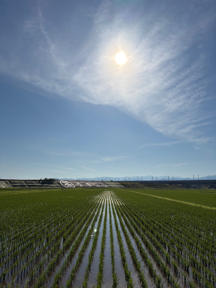 SOZO_DRONE's tweet photo. 新茶まつり
6/20 (土) 21(日)
加賀市打越町の打越製茶場にて今年も開催されます

お知らせでした
#加賀市 #茶 https://t.co/mR4pR0q0EW