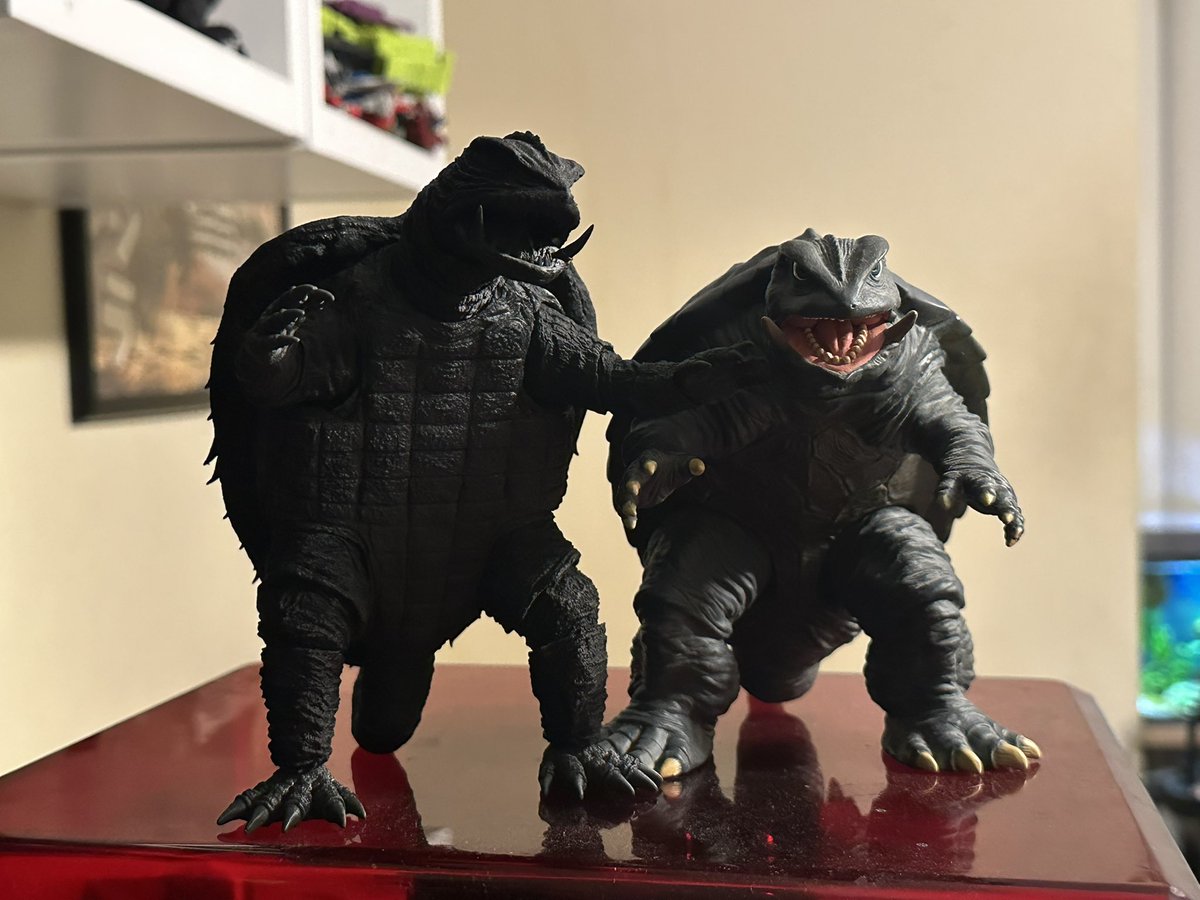 godzilla154's tweet photo. Gamera 65 da big version https://t.co/xDOgCvH2h0