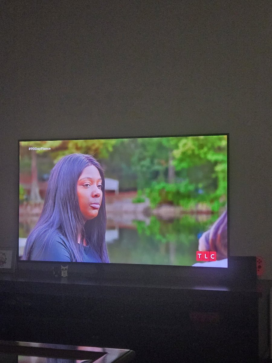 myaaa_712's tweet photo. Lady... even the geese in the background are laughing at this insanity #90DayFiance https://t.co/JnRX9j2EjK