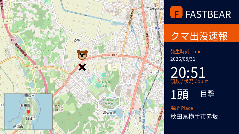 fastbearbot's tweet photo. 【🐻熊出没情報】

先日、クマ1頭の目撃がありました。
種類はツキノワグマとみられており、性別は不明です。

📅 日時: 2026-05-31 20:51頃 (JST)
📍 場所: 秋田県横手市赤坂

【投稿詳細】
車で帰宅したところ、家の前から草むらの方へ走り去るクマを目撃。小さい個体だったため子熊かと思われます。暗くて写真は撮れませんでした。

周辺にお住まいの方、お出かけの方、十分にご注意ください。万が一遭遇した場合は、刺激せず安全な場所に避難し、速やかに警察や自治体にご連絡ください。

#ツキノワグマ #クマ #秋田県 #横手市 #注意喚起 #クマ出没 #安全第一

詳細な地図はこちら👇
https://t.co/fVbwhmy7IZ

---
⚠️ URGENT: BEAR SIGHTING 🐻 A lone bear, possibly a cub, was spotted near a residential area in Akasaka, Yokote City, Akita Prefecture, on May 31, 2026, around 8:51 PM JST. The animal was seen running into vegetation from the front of a home. Due to darkness, no photo was captured. Please exercise extreme caution in this area.
---
⚠️ 紧急警报：熊出没注意

2026年5月31日晚8点51分左右，秋田县横手市赤坂地区发现一只熊。目击者称，熊从自家门前草丛跑开，因天色昏暗，未能拍下照片。请当地居民和游客提高警惕，注意安全。
---
⚠️ 긴급: 곰 출몰 정보

2026년 5월 31일 20:51경, 아키타현 요코테시 아카사카 지역에서 곰(쓰키노와곰) 1마리가 목격되었습니다. 차량으로 귀가하던 중 집 앞 풀숲으로 사라졌으며, 어두워 사진 촬영은 어렵습니다. 주민 여러분께서는 야간 외출 시 각별히 주의하시기 바랍니다.

#JapanWildlife #BearSighting #Akita #Yokote #WildlifeAlert #TravelJapan #NatureJapan #BearAwareness