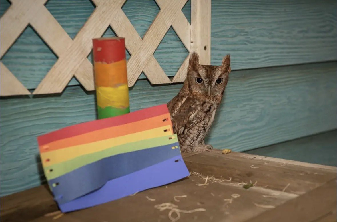 SavosAndSavos's tweet photo. Happy pride month everyone ^v^ https://t.co/NPtoxPzT8e