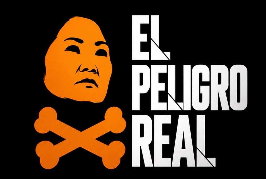 elfjcgc's tweet photo. Fortalecimiento de la democracia y derechos humanos. Uf. El tema favorito de Keiko, una campeona de la democracia y de los derechos de las personas.

#DebatePresidencial https://t.co/DxpEA7z3dA
