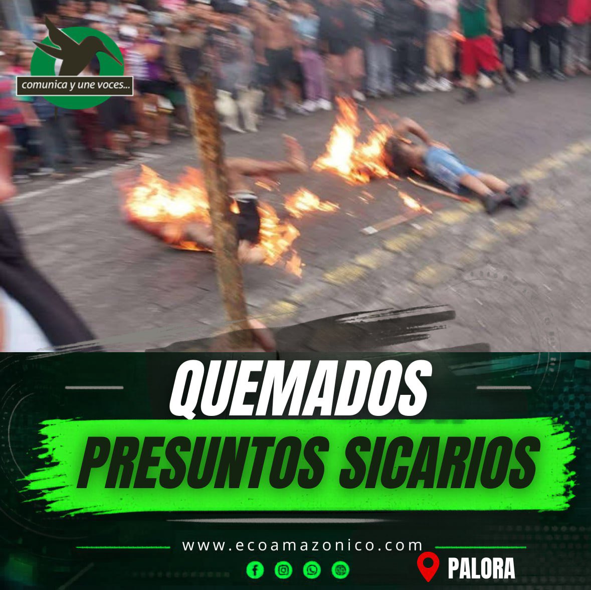 EcoAmazonico's tweet photo. [SEGUIMIENTO]
#Palora >>
Ciudadanos linchan y queman vivos a dos presuntos sicarios. 
Palora, Morona Santiago – Tras el asesinato de dos personas en este cantón, un grupo de ciudadanos enfurecidos capturó a dos presuntos responsables del doble sicariato y los quemaron vivos mientras esperaban la llegada de la Policía Nacional.
VER MÁS >https://t.co/j5LGQ1Ih6D
