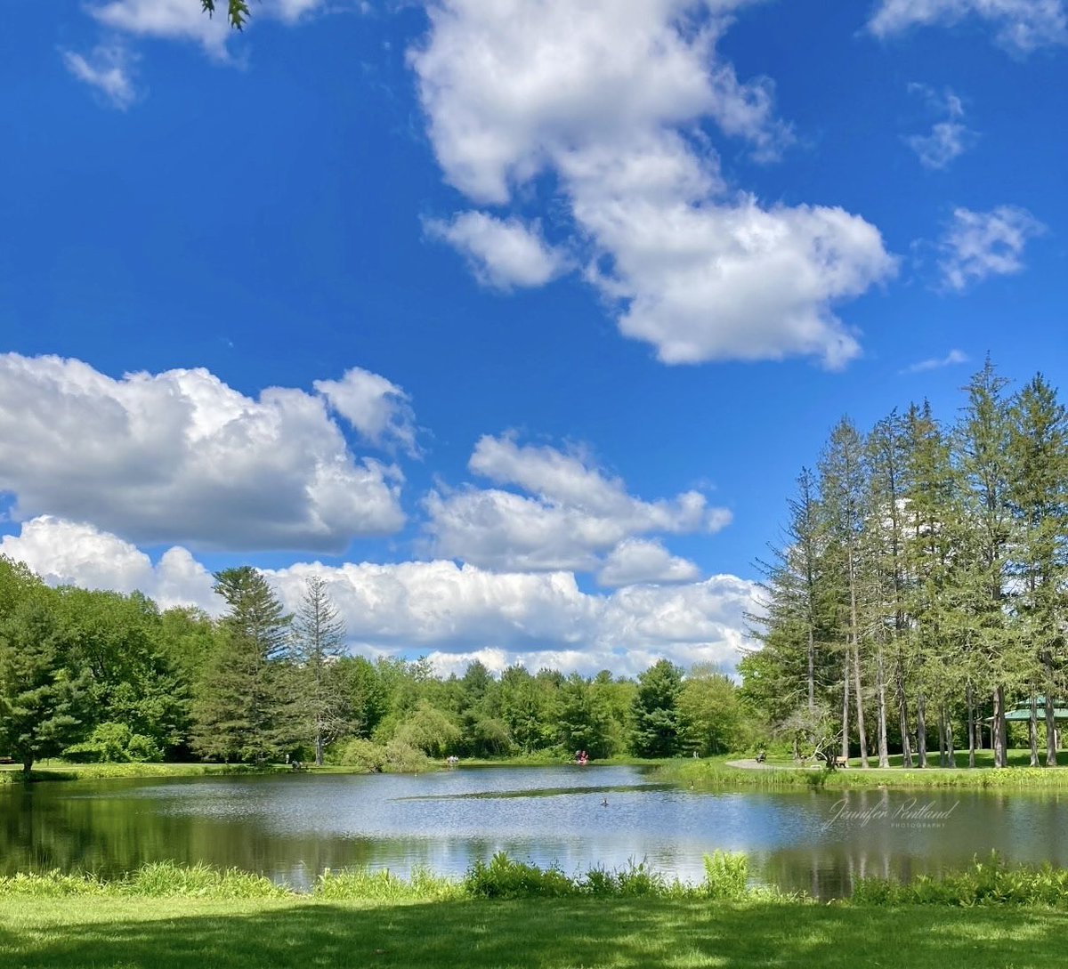 SaeidAliyoun's tweet photo. Attention:

It's mandatory!

You have to enjoy summer. 😊

Happy June, my dear friends. 🌞

#Summer

📷 @jpentlandart https://t.co/vl6PIx9mEO