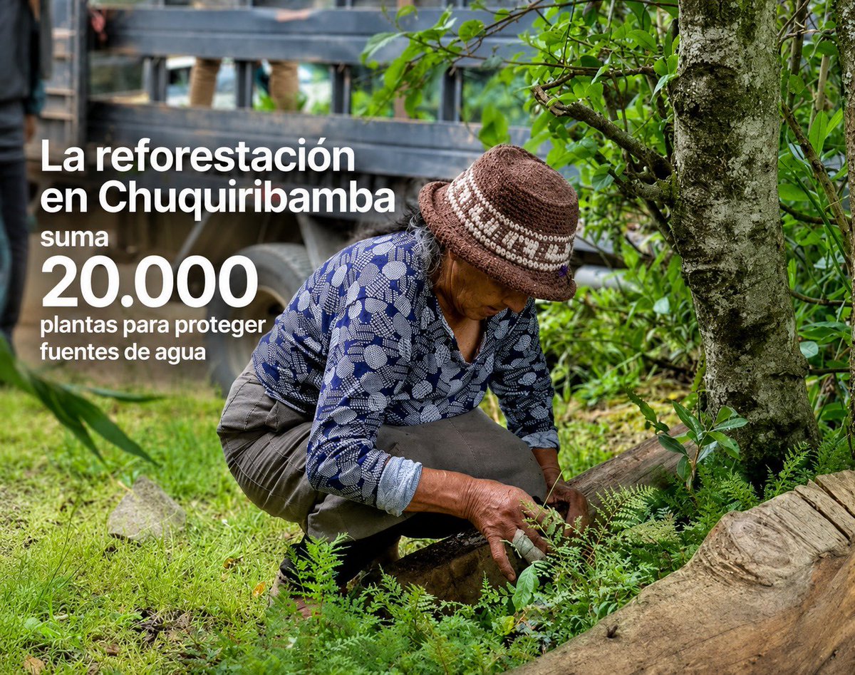srradioEc's tweet photo. Chuquiribamba fortalece la reforestación y cuidado del agua

La reforestación en Chuquiribamba suma 20.000 plantas para proteger fuentes de agua y recuperar ecosistemas en el cantón Loja. https://t.co/uqj5PJV4Im https://t.co/E32P4yMeSH
