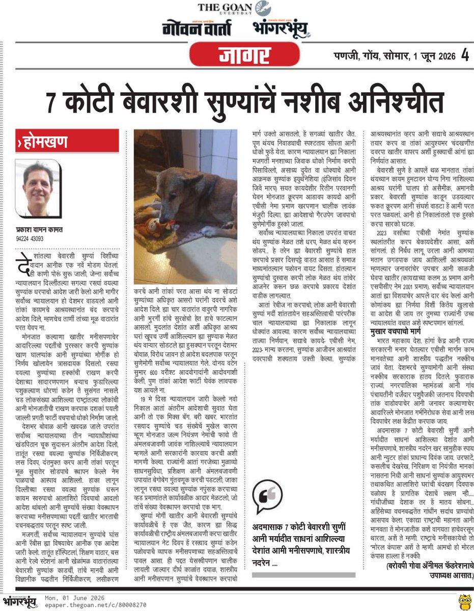 PrakashWKamatPK's tweet photo. My article in the Konkani newspaper @bhaangarbhuin today reviews the developments over a year since the Supreme Court's initial order on street dogs, culminating in the recent final order that declined to withdraw its earlier directive, thereby directly or indirectly impacting the lives of approximately 7 crore stray and community dogs nationwide, and inviting confusion and concern to the feeders and caregivers.
https://t.co/dYPZc0yj3y
