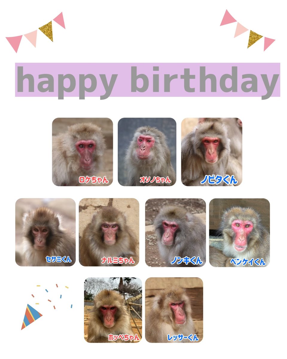 今週のお誕生日一覧〉 9頭のおさるさんがお誕生日を迎えます。 お誕生