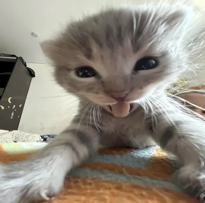 ranminha's tweet photo. Preciso beber o que nao bebi esse ano https://t.co/tT6mXuDvfm
